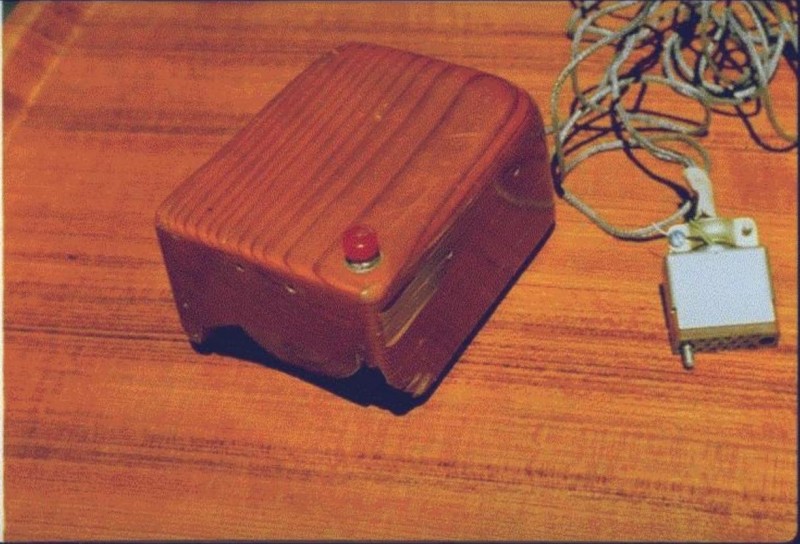 elprimermouseerademadera elprimermouseerademadera