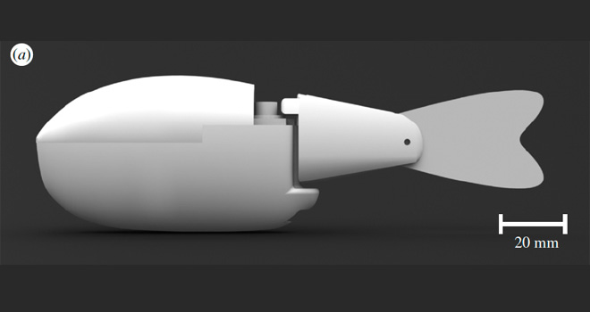 robofish robofish